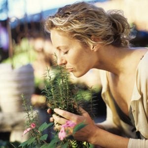 12. Benefit From the Scent of Rosemary 