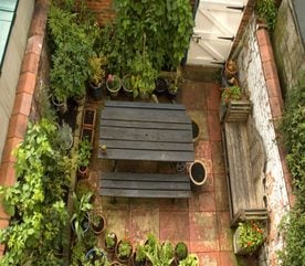 Make Your Own City Garden