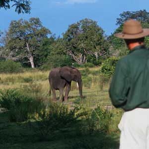 9. Safari in Tanzania