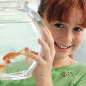 Buy The Right Home For Your Fish