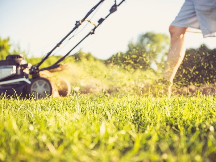 Gardening tips - mowing the lawn