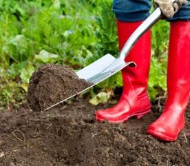 How to Replenish Your Soil and Improve the Health of Your Landscape for Years to Come 