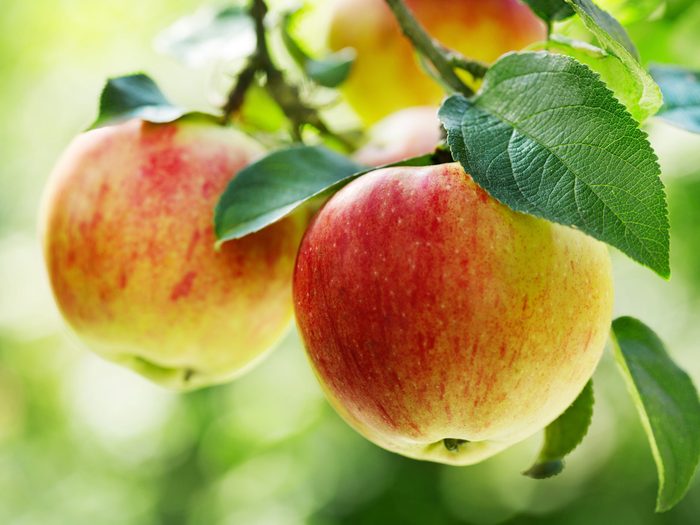 Superfoods for Your Heart: Apples