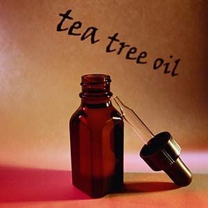 5. Tea Tree Oil