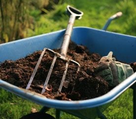 Unusual Landscaping Ideas to Help Your Garden Grow