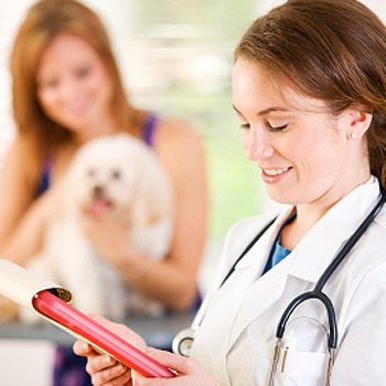 10. How to Find a Good Vet: Pet Health Insurance
