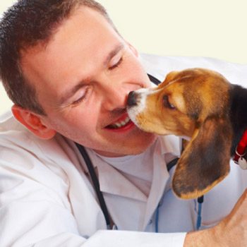 6. How to Find a Good Vet: Look for Rapport