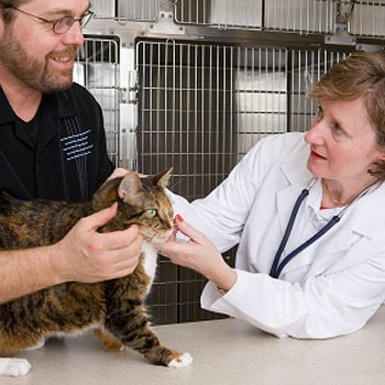 9. How to Find a Good Vet: Talk About the Costs