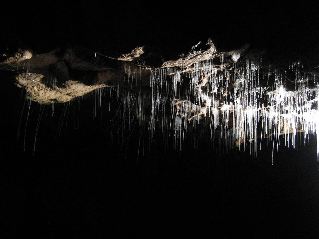 Travel: Waitomo Glowworm Caves, New Zealand