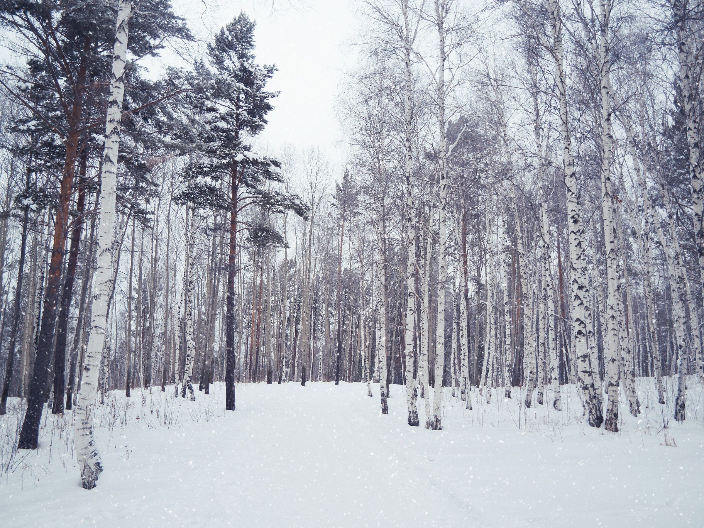 Snowiest Destinations: Siberia, Russia