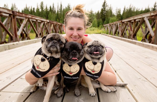 Owner with three pugs