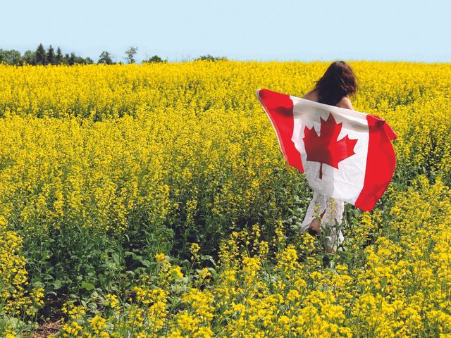 Woman with Canadian flag in canola field