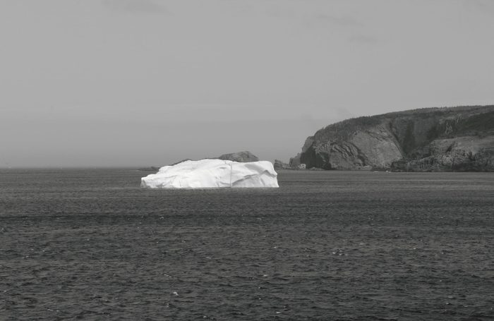 Iceberg at Cape Bonavista