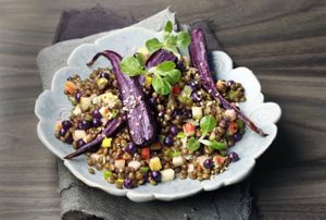 Lentil Salad with Wild Blueberry Dressing