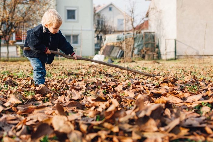 Boy raking leaves on lawn