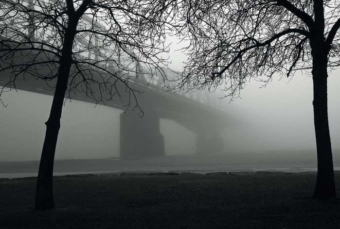 Bridge in Ottawa