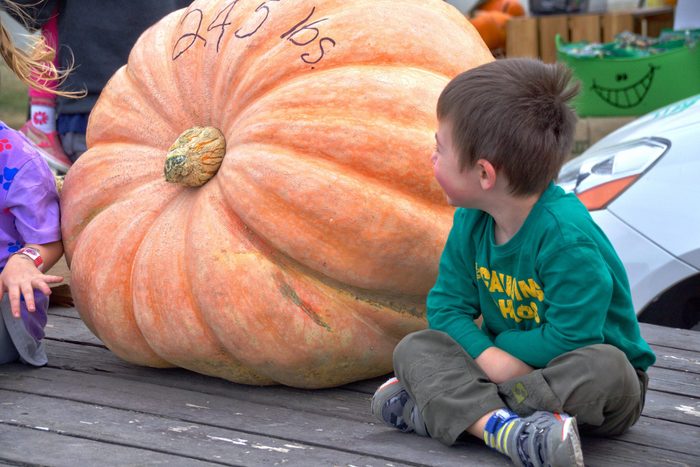 Little boy sitting next to giant pumpkin