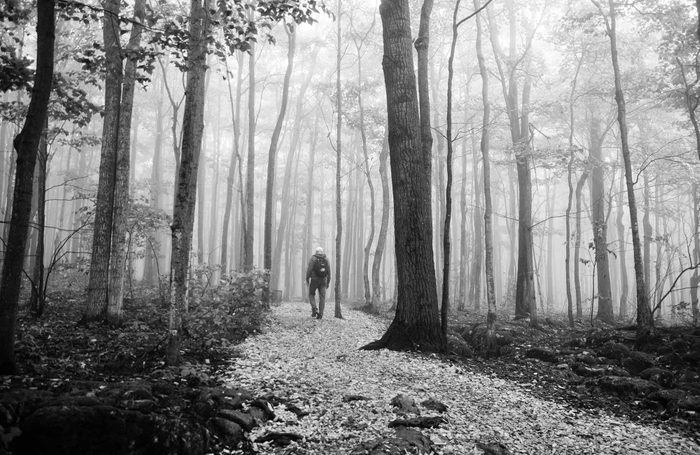 Man walking through woods in Collingwood, Ontario