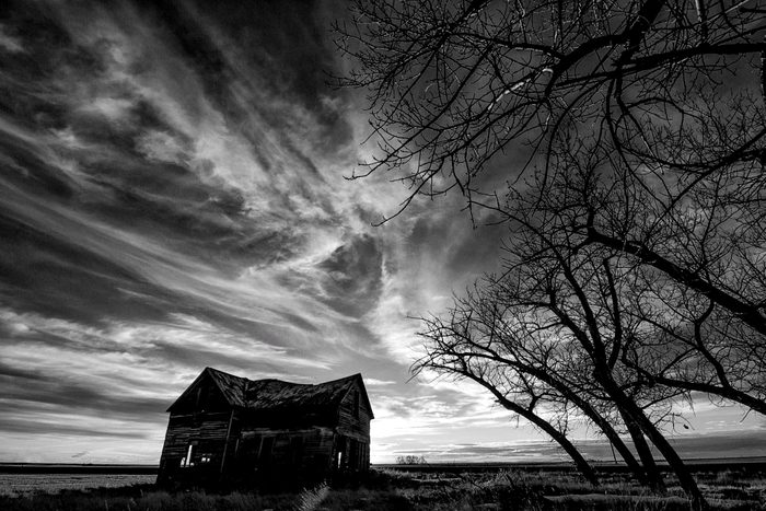 Black and white photo of farmhouse and tree