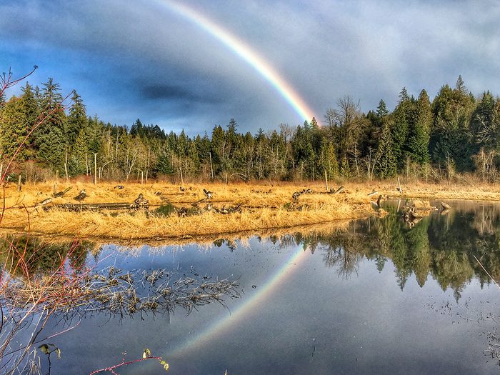 Rainbow pictures - Silverdale Creek Wetlands rainbow