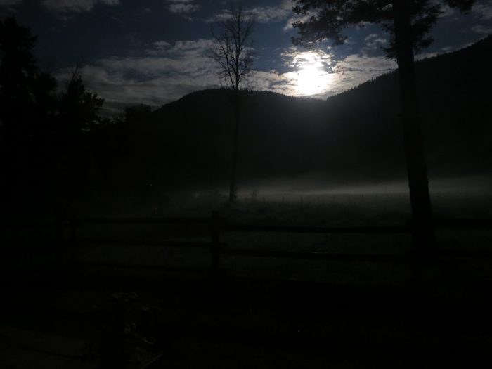 Mist and the Moonlight