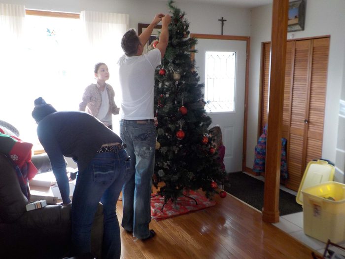 Family putting up the Christmas tree