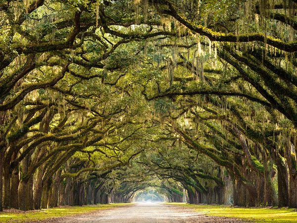 6 of the Most Gorgeous Spring Destinations in the U.S.