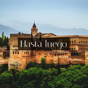 Common Spanish Phrases - Hasta luego