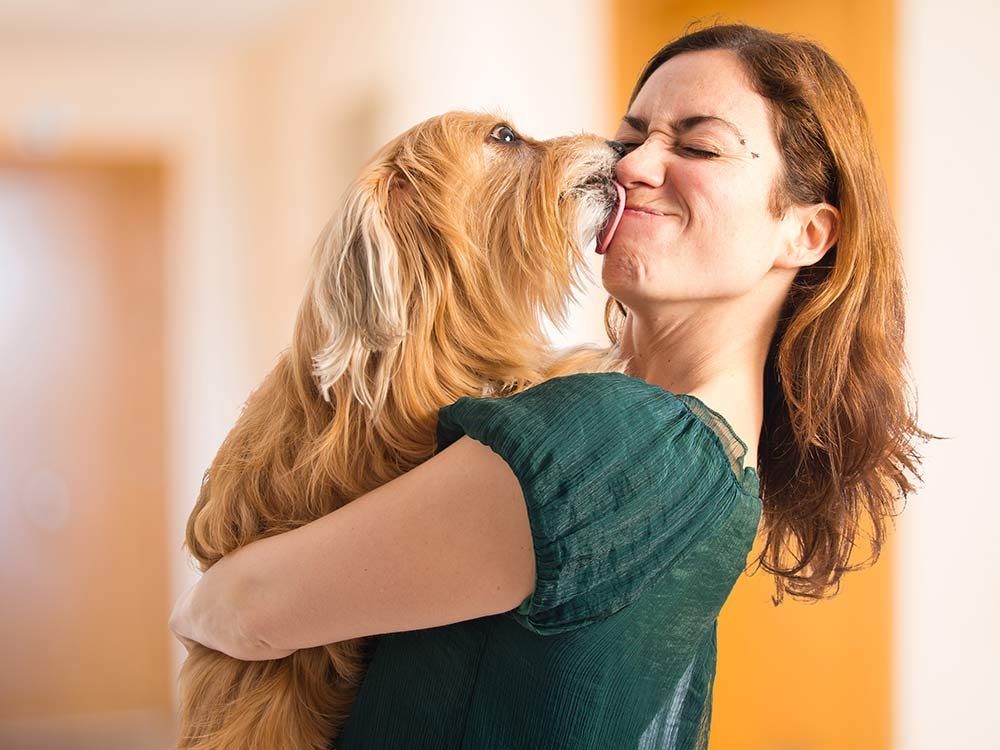 Dog licking owner's face