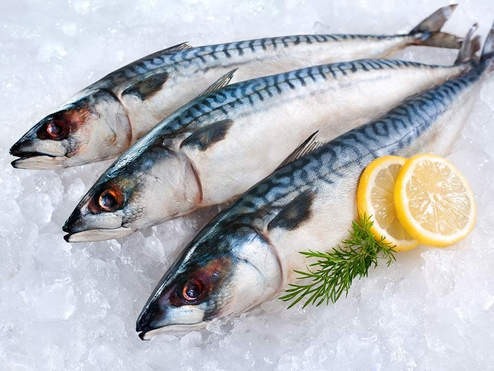 Raw mackerel on ice