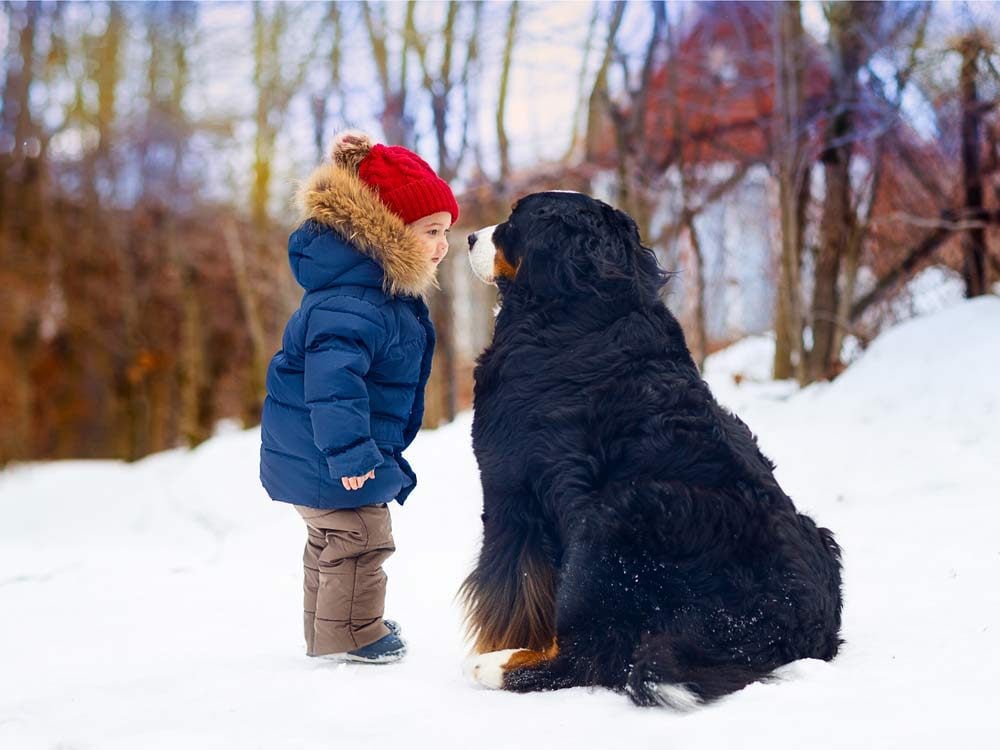 Little boy with large dog outside in winter