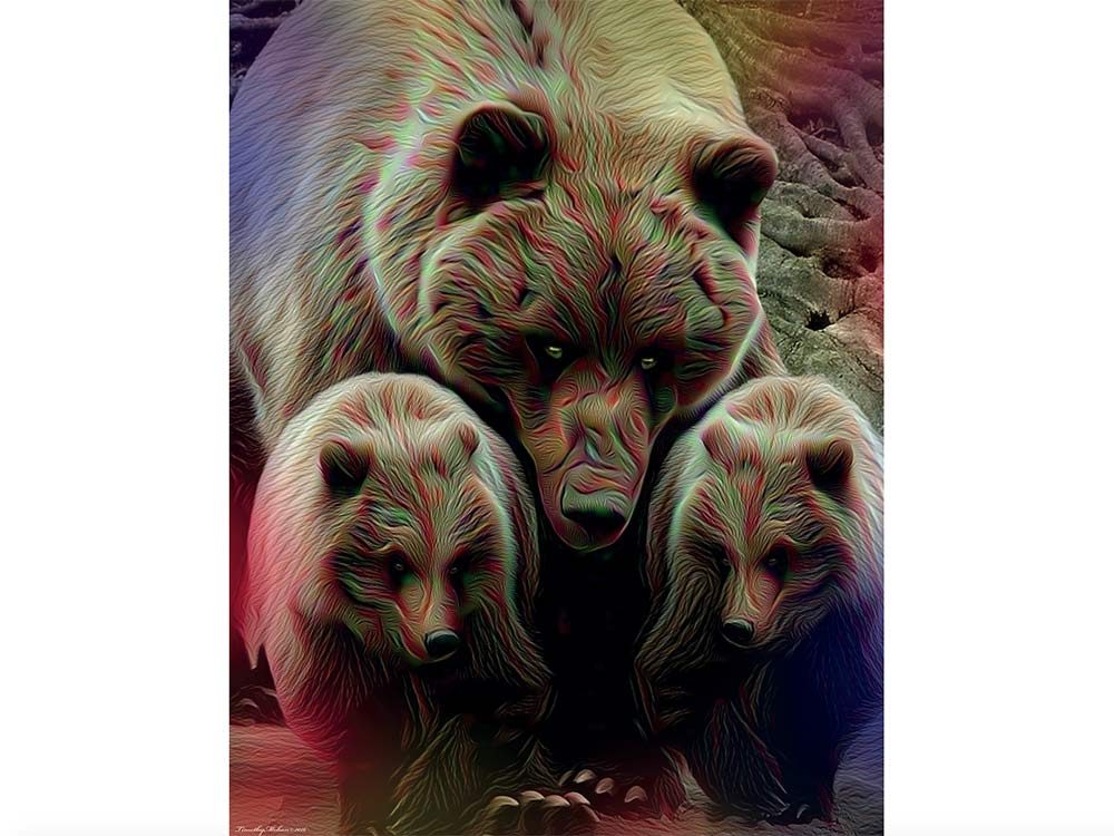 Artwork by Timothy Mohan of grizzly bears