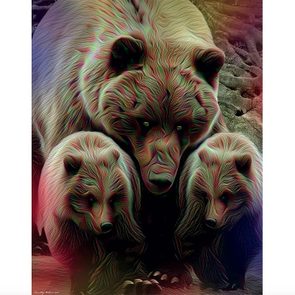 Artwork by Timothy Mohan of grizzly bears