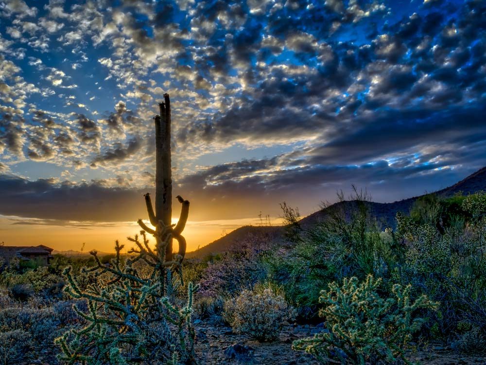 Scottsdale, Arizona desert