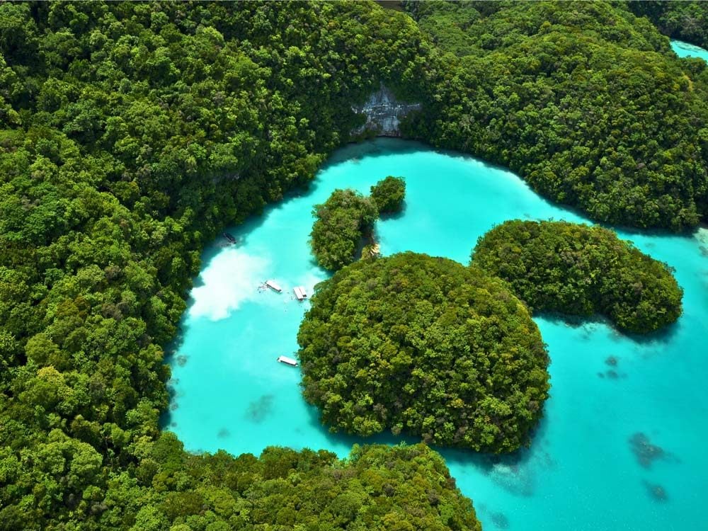 Milky Way Lagoon in The Republic of Palau