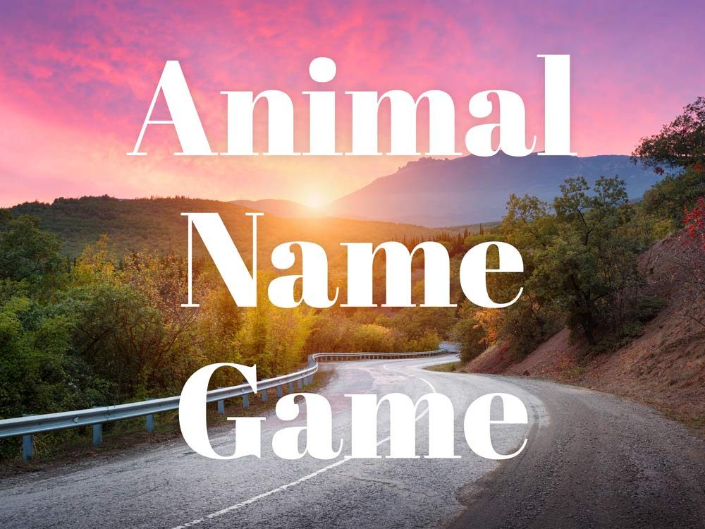 The best car games if you like animals
