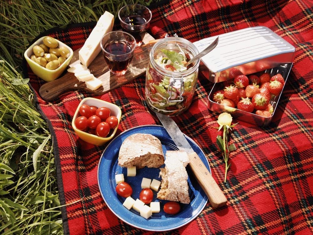 Red picnic blanket