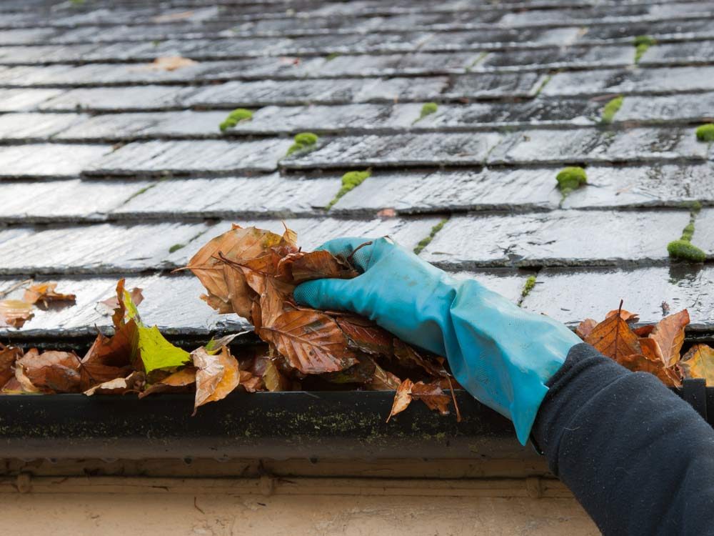 Gutters clogged with leaves
