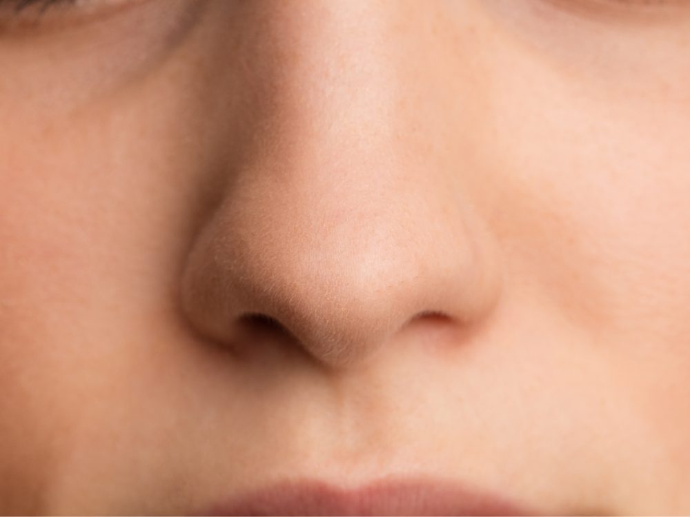 How Your Nose Got Its Shape, According to Science
