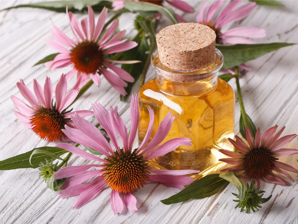 Echinacea is natural sore throat remedy. 