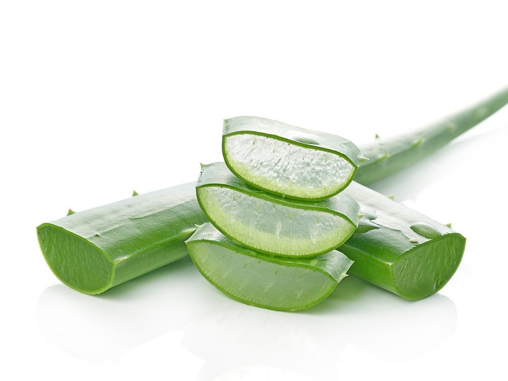 Aloe vera is a poison ivy home remedy you'll be grateful to know.