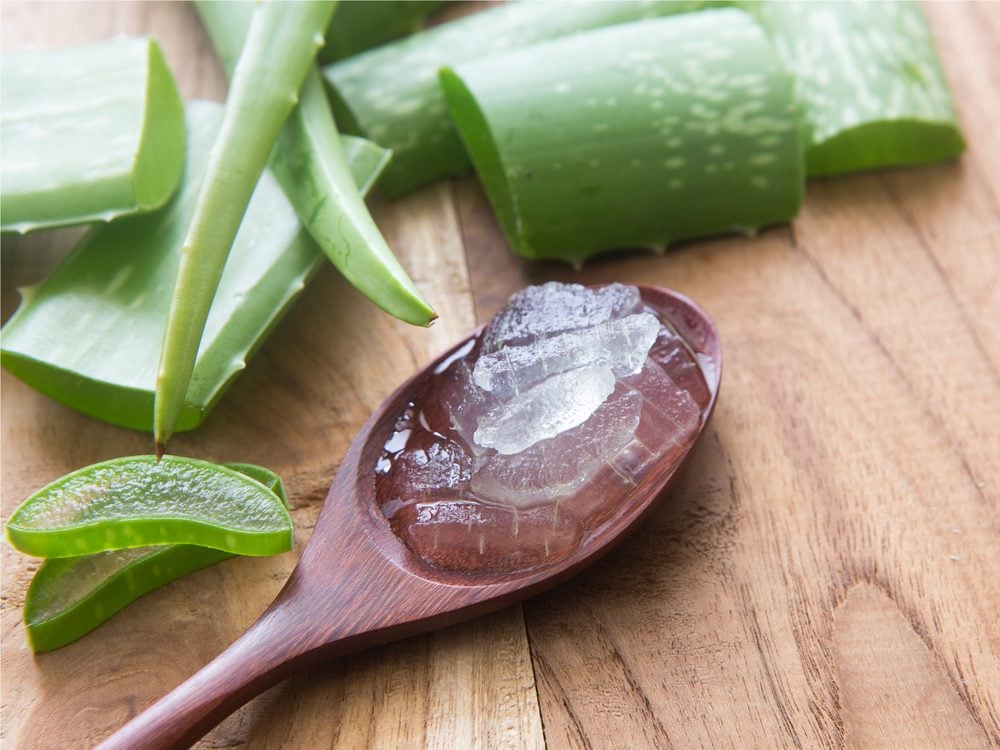 Aloe vera is a remedy for eczema and psoriasis
