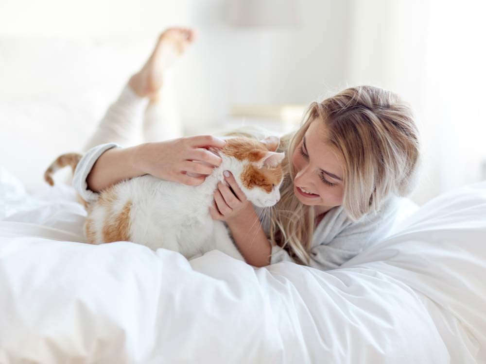 Your Cat In Bed, Best Duvet Covers For Cat Owners