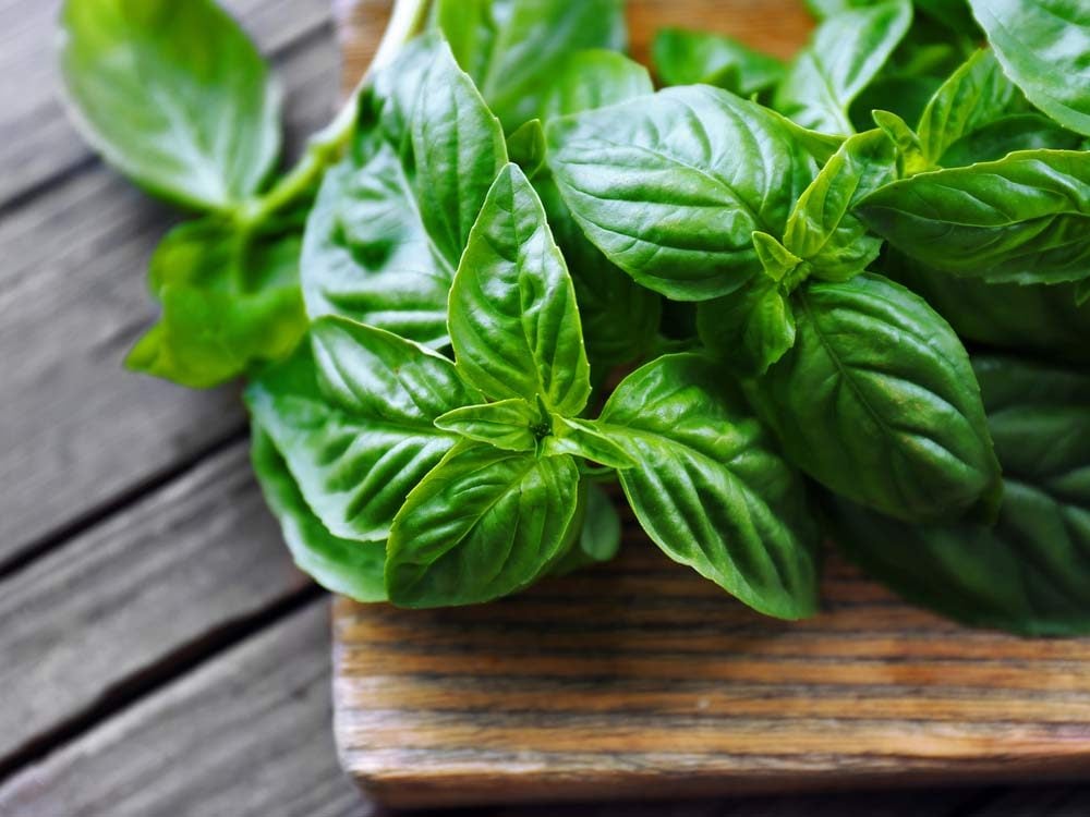 Freshen your car with basil