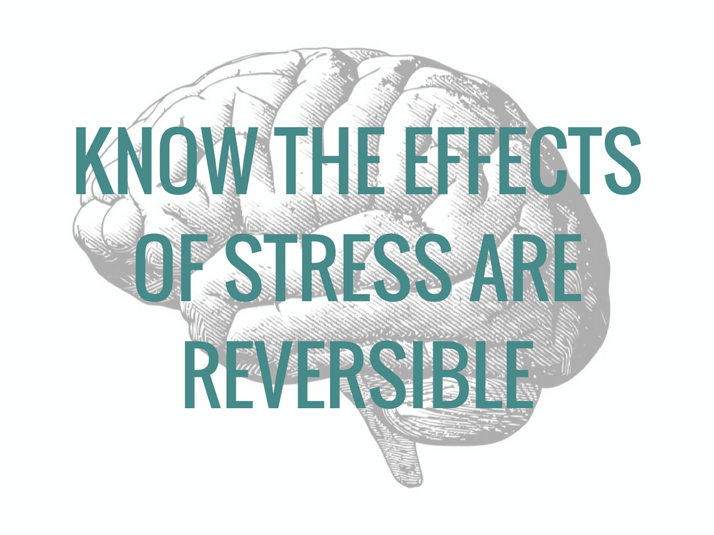 Know the effects of stress are reversible to calm down