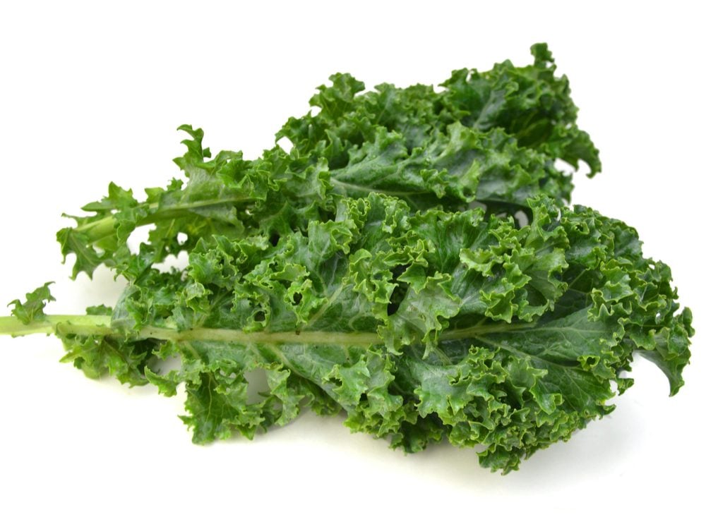 Kale is a calcium-rich food that will help your burn fat