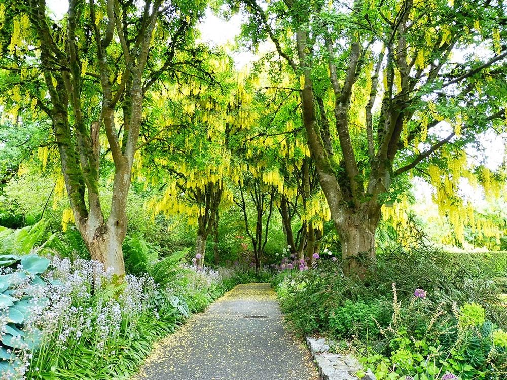 VanDusen Gardens in Vancouver