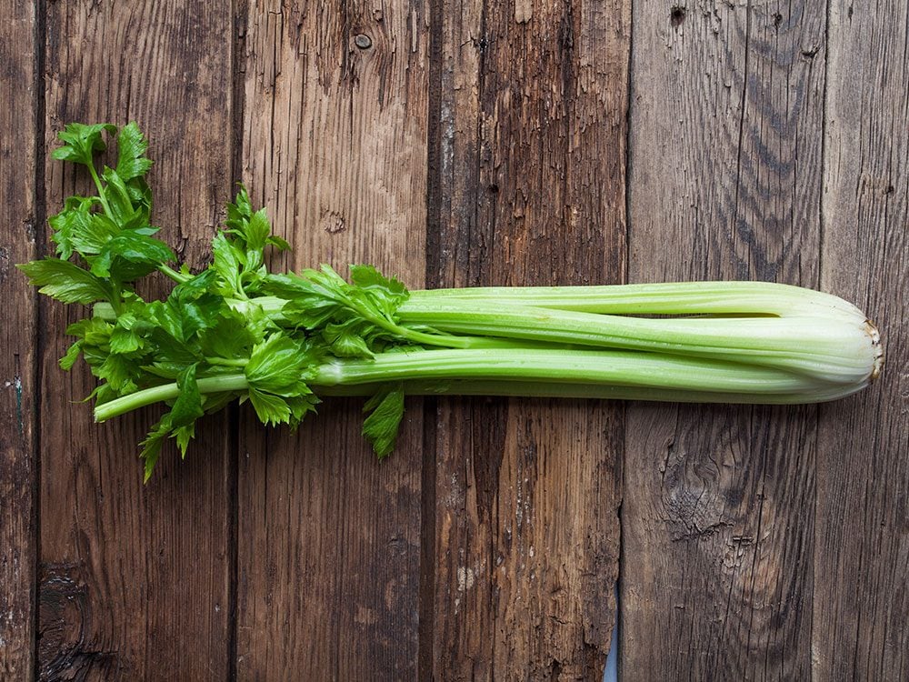 Life's Like That: Celery