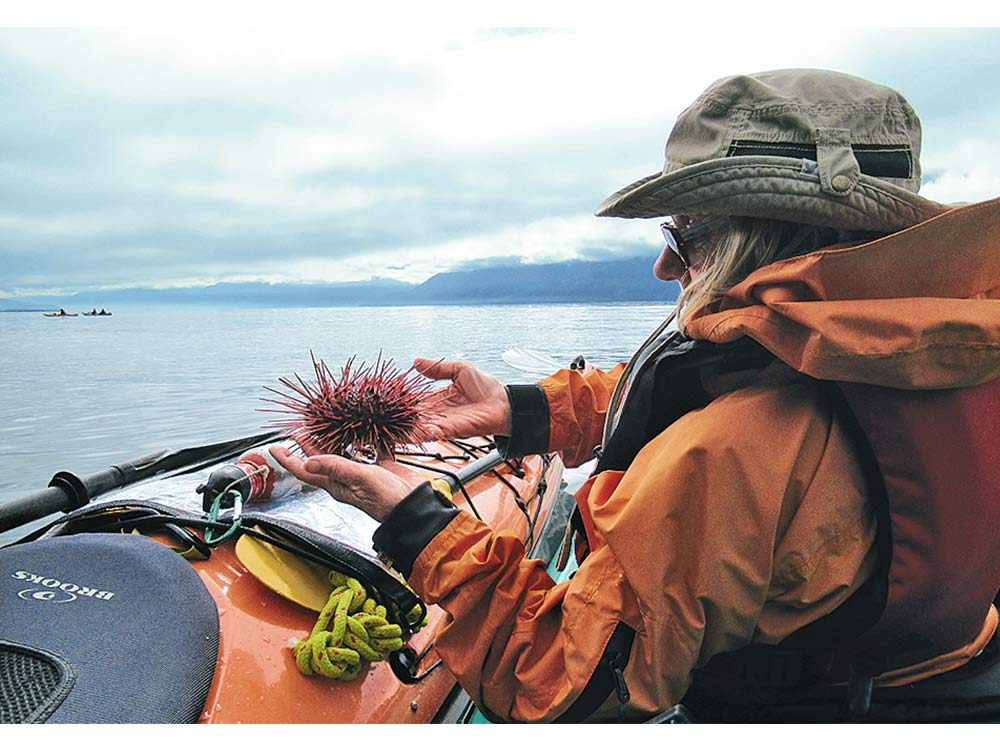 Helen with a sea urchin