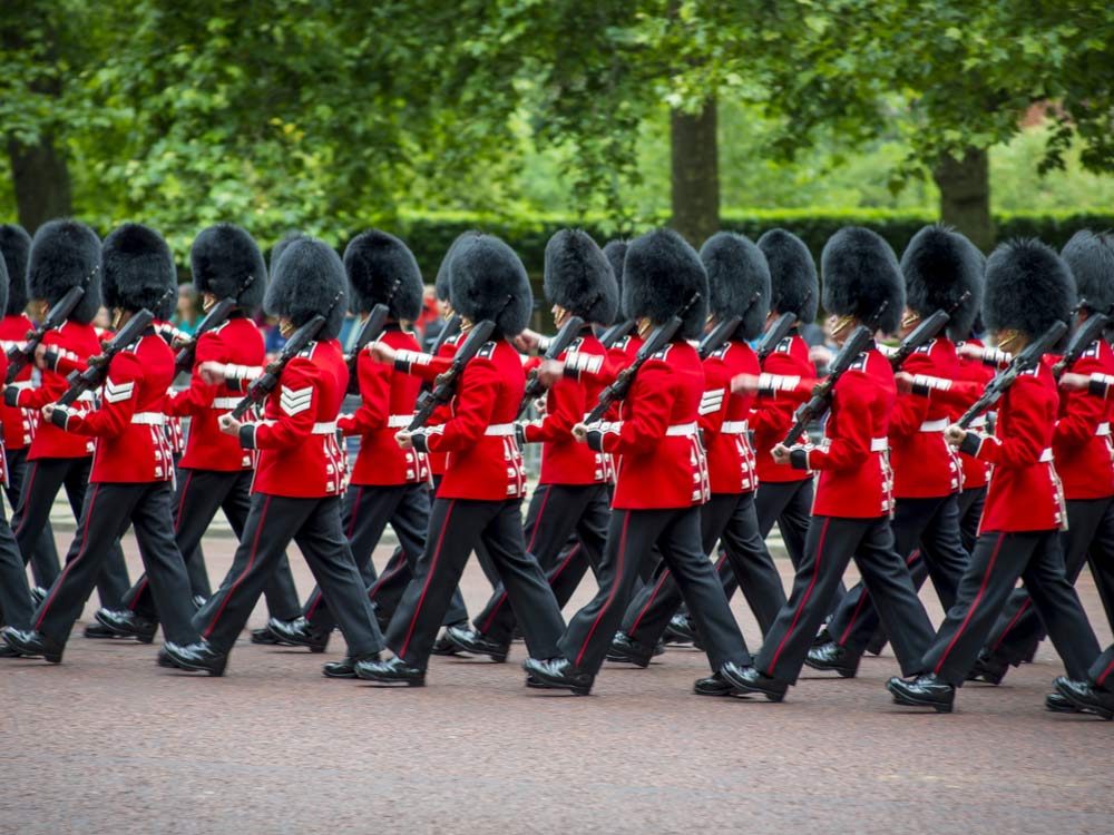 Queen's Guard